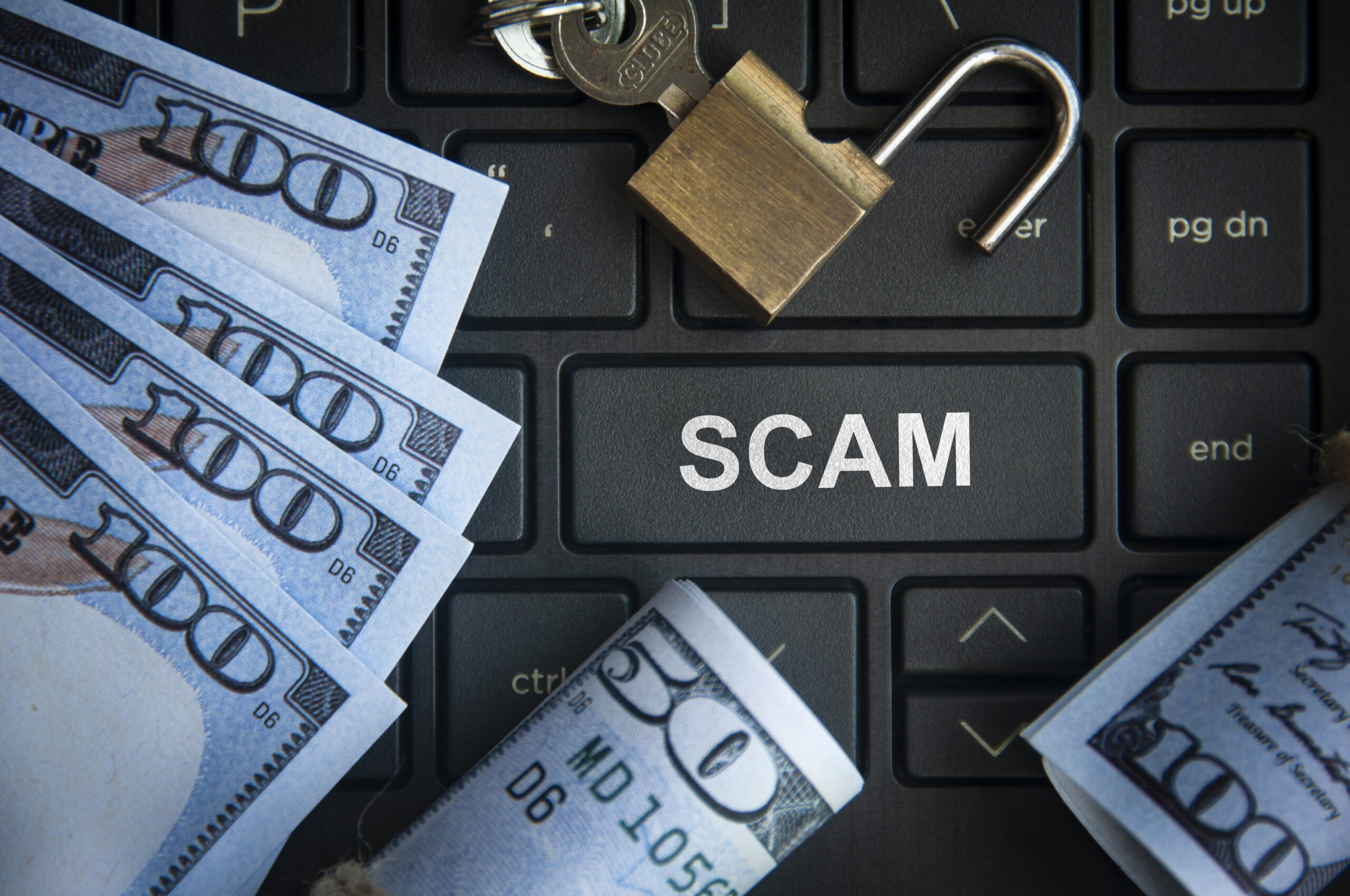 Avoiding financial fraud online